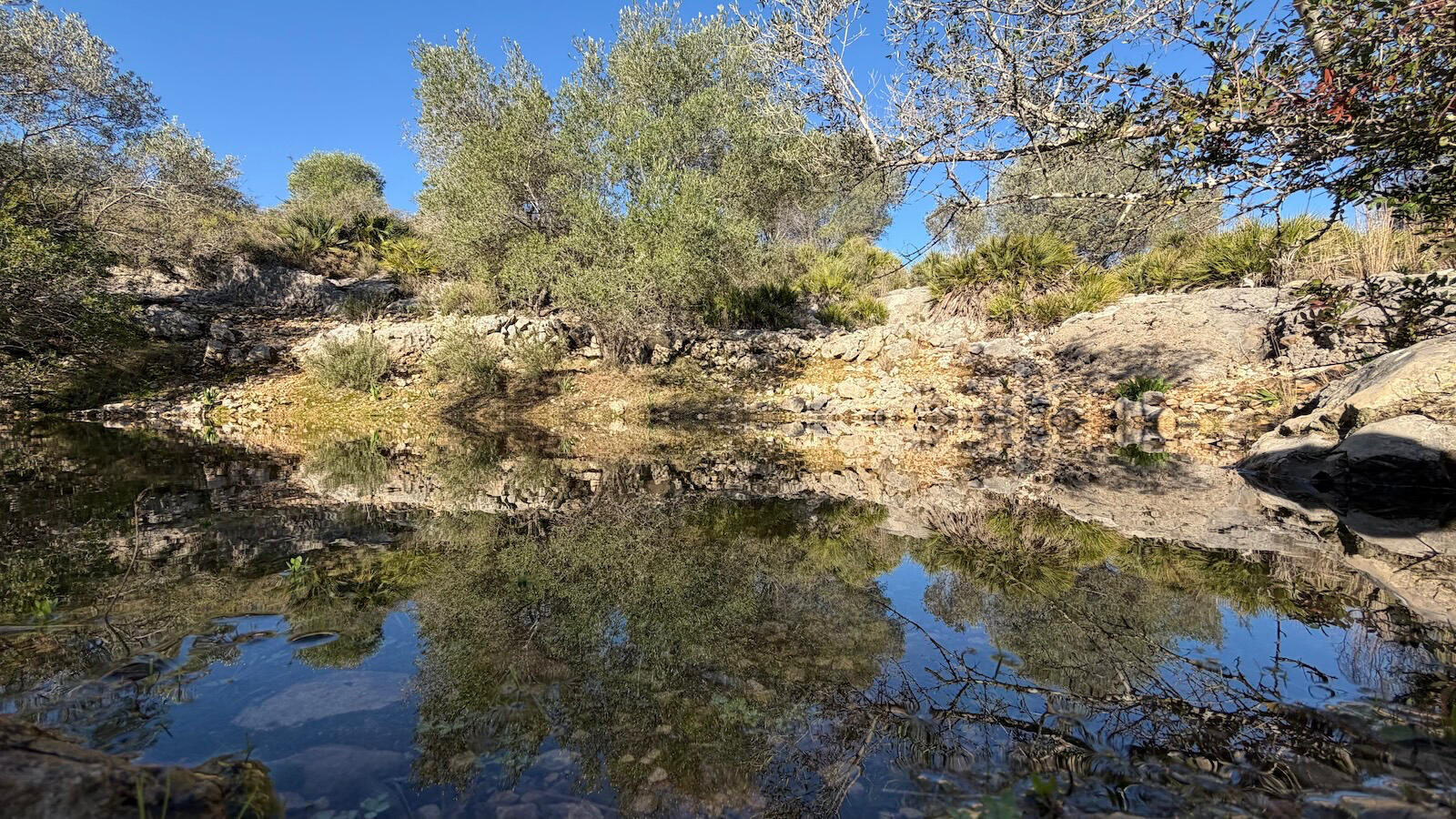 Bonito paseo hasta El Ràfol d’Almúnia Bonito paseo hasta El Ràfol d’Almúnia